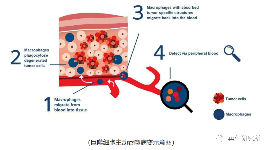 &#24320;&#20803;&#32593;&#39029;&#29256;&#95;&#24320;&#20803;&#40;&#20013;&#22269;&#41;